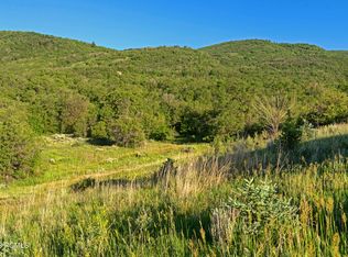 8567 W Chokecherry Ln, Provo, UT 84604