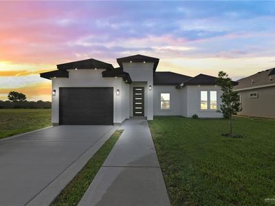 1332 S 9th St, Alamo, TX, 78516