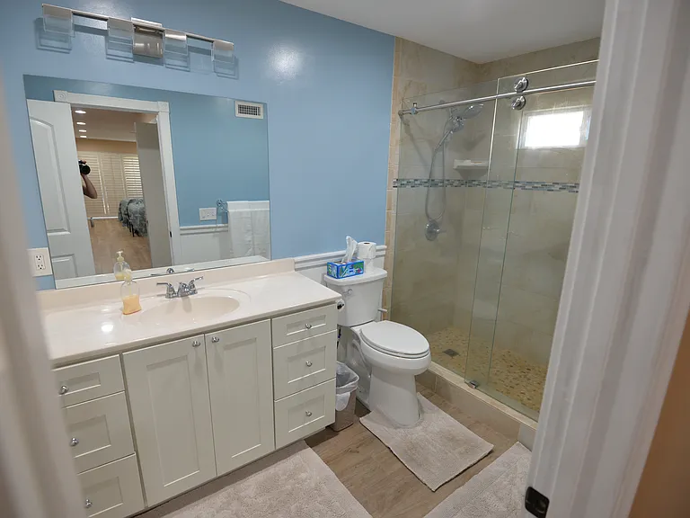 Master Bath (there is a tall cabinet to left)