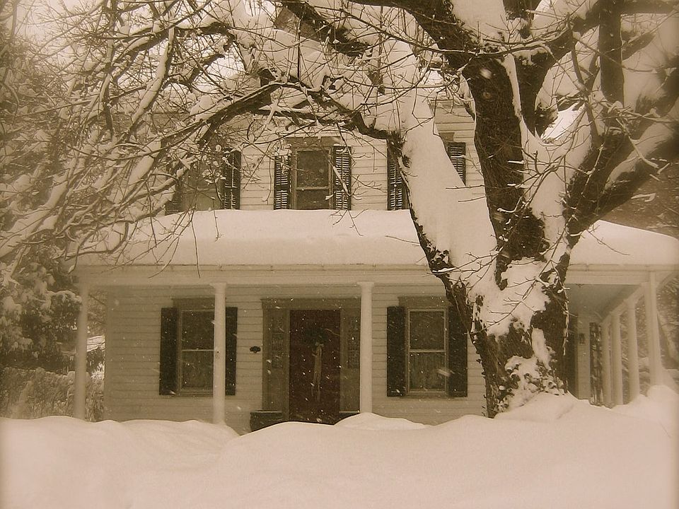 Winter
