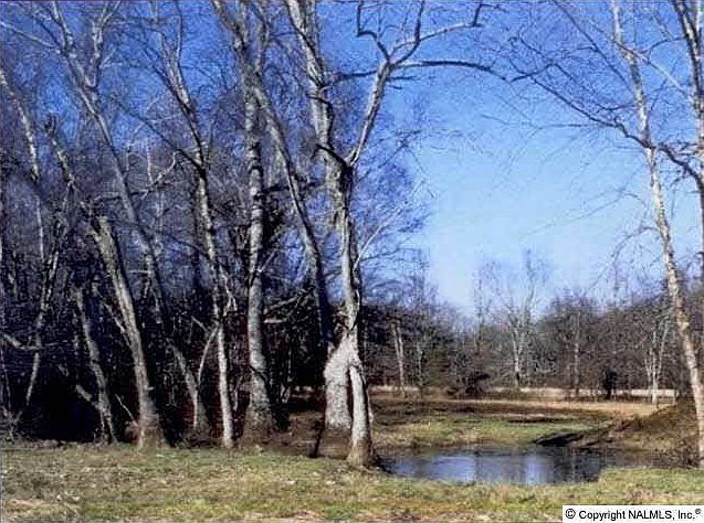 2nd image of Beaver Dam Rd