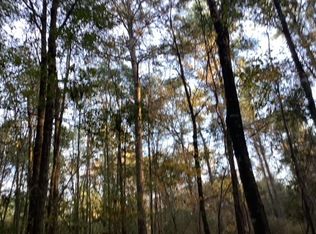 0 County Road 43, Brooklyn, AL 36429
