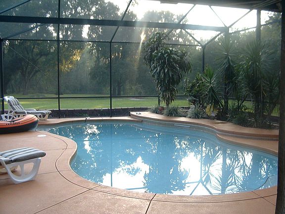 Pool W/Screen Enclosure