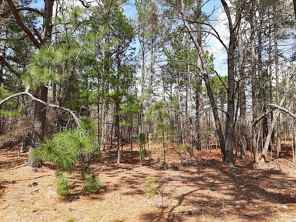 5th image of Tbd Woodland Cir Cir