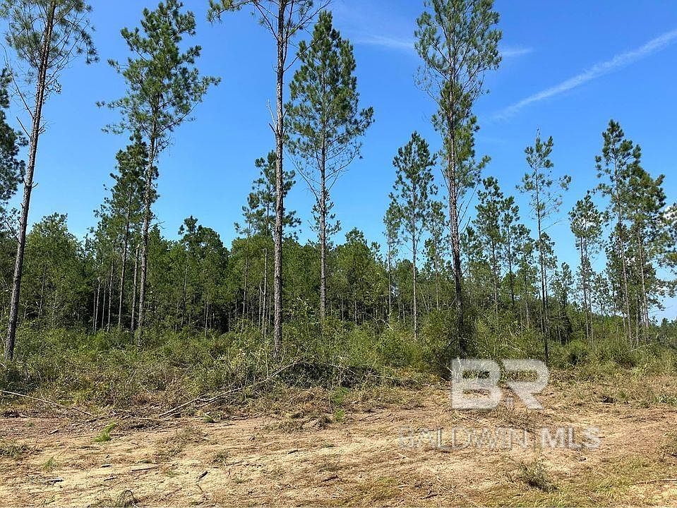 2nd image of 0 County Road 62 S Ph 2 L14