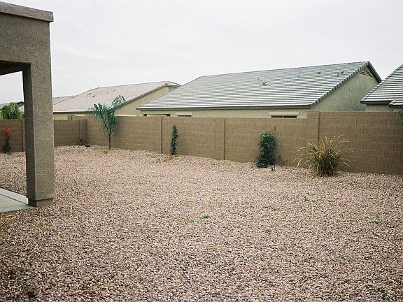 back yard