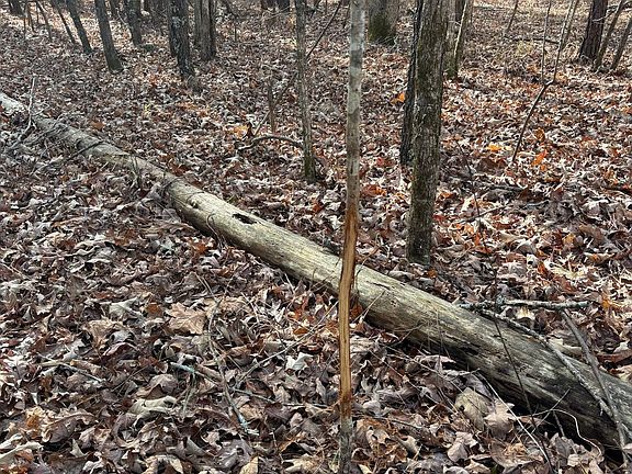 Photo Jan 01 2026 1 01 06 Pm