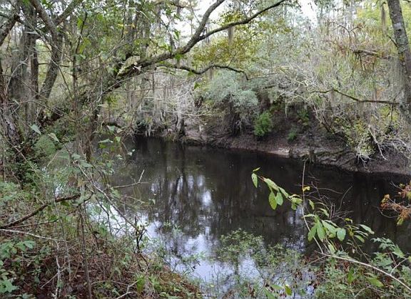 3rd image of 1084 Highway 135 N