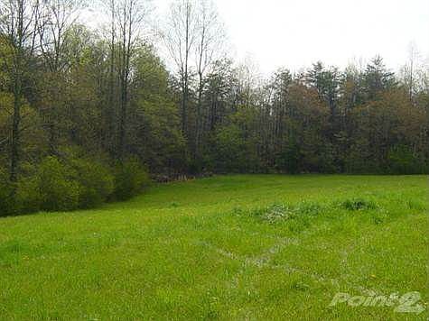 Grass field