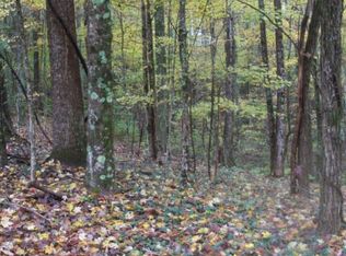 2 Timbertree Branch Rd, Hiltons, VA 24258