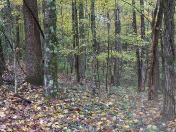 2 Timbertree Branch Rd, Hiltons, VA 24258