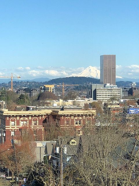 Mt Hood View