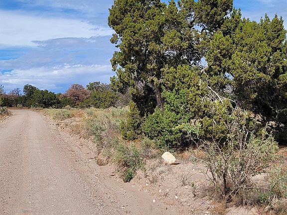 3rd image of 15 Elk Ct