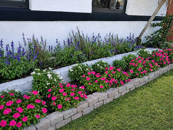 Self-Watering flower garden.