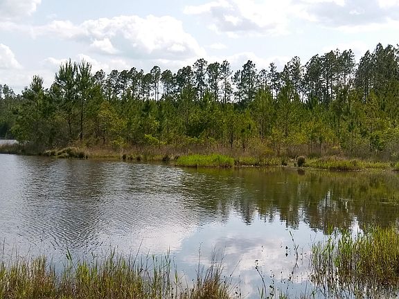 5th image of 6475 County Road 218