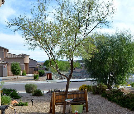 2nd image of 10419 S Painted Mare Dr