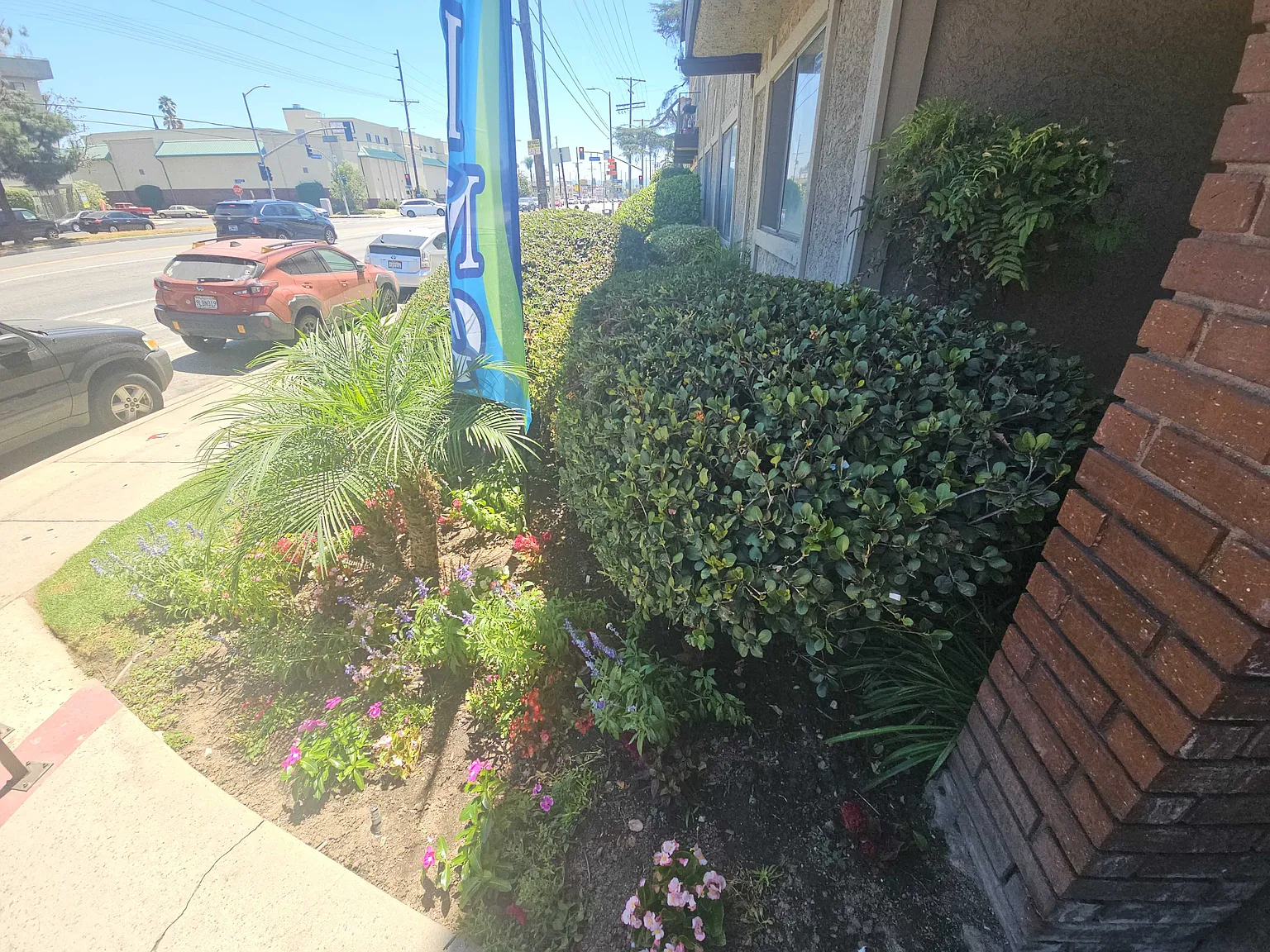 Studio, $1,495 — Photo 2