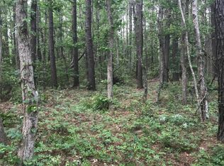 0 Young Rd, Awendaw, SC 29429