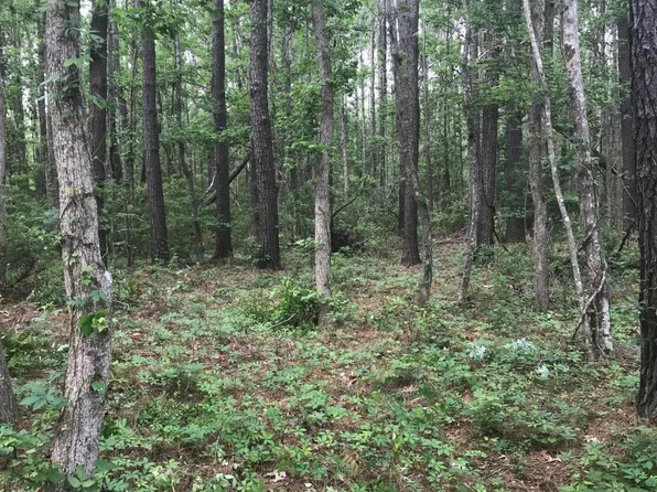 0 Young Rd, Awendaw, SC 29429