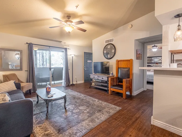 Living Room Image 1