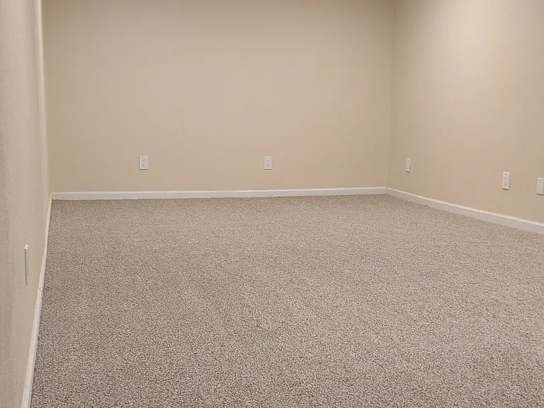 Basement entertainment room