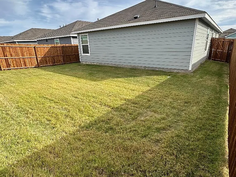 Back yard