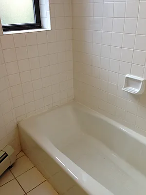 Rented by Picture Realty Inc. | media 36