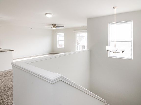Light filled open plan