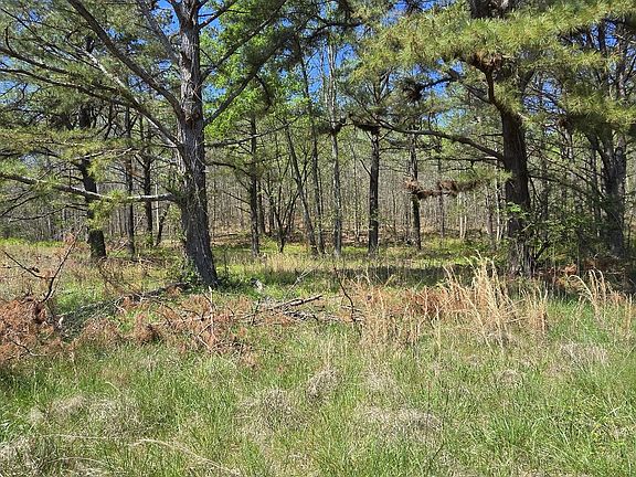 5th image of 7021 Taylor Creek Loop