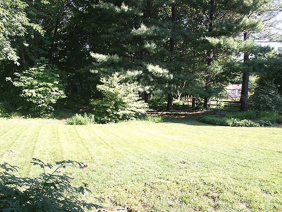 Wooded Private Backyard