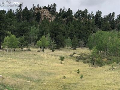 143 Wilderness Ln, Wilderness ln, CO, 80816