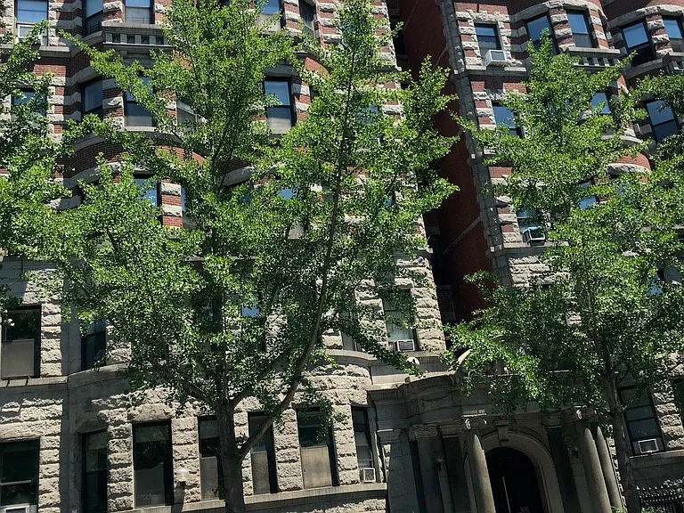 137 W 110th St #7A — Photo 12