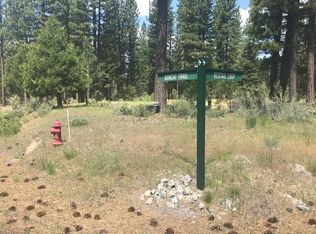 762 Redtail Loop Rd, Clio, CA 96106