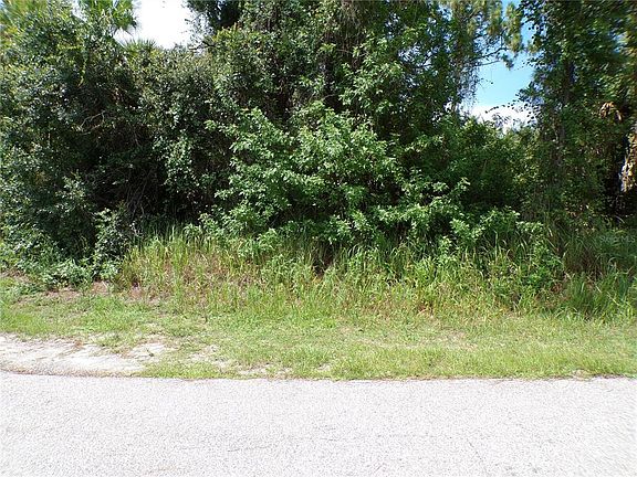 5th image of Torch Ct Lot 12