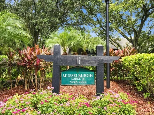 36750 US HIGHWAY 19 N #16204, PALM HARBOR, FL 34684