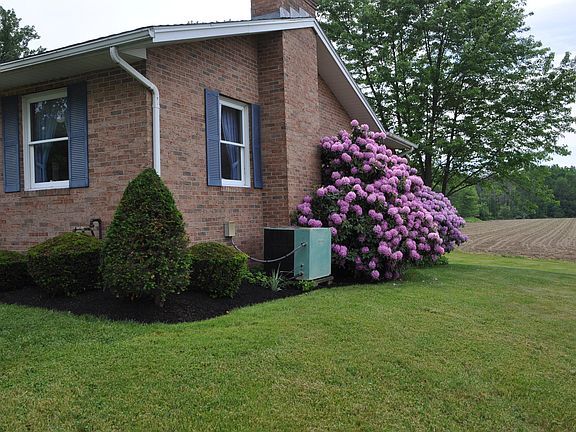 4th image of 12010 Breezewood Dr