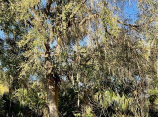 Osteen Maytown Rd #4, Osteen, FL 32764