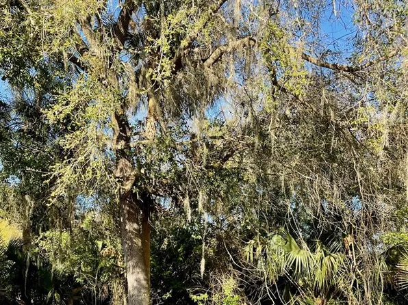 Osteen Maytown Rd #4, Osteen, FL 32764