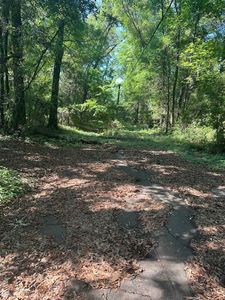 Xx Goldwire Rd, Quincy, FL, 32351