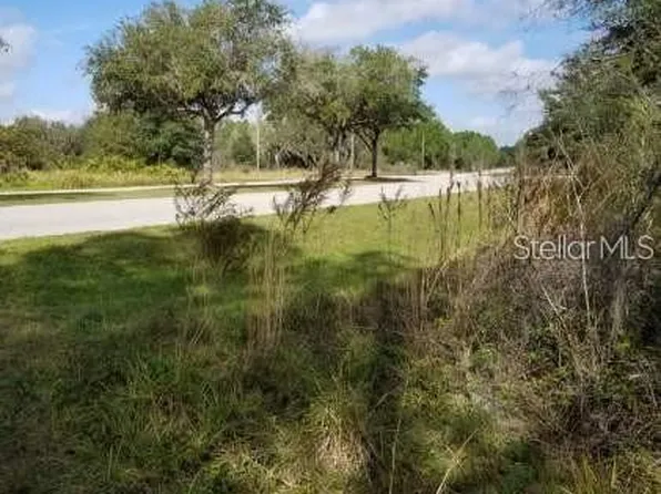2005 411th St E, Myakka City, FL 34251