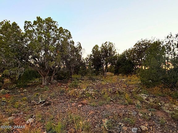 5th image of 8332 Skyline Dr