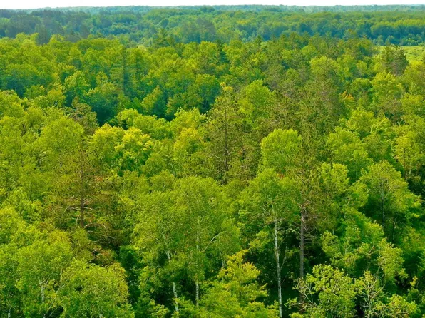 Na Outback Trl, Sandstone, MN 55072