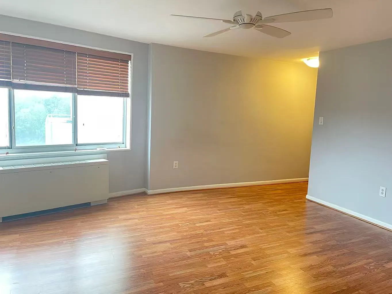 Studio, 529 sqft, $1,550 — Photo 4