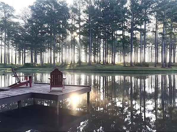 1362 N Friendship Dr, Greenville, AL 36037