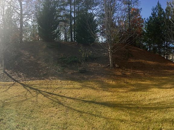 Private backyard 