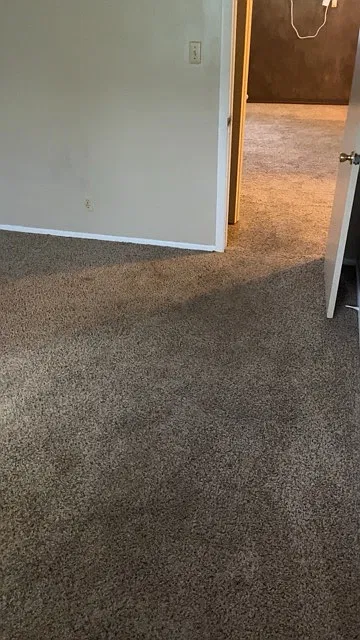 2 bed, $850 — Photo 4