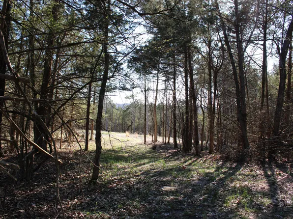 2 County Rd Tract D, Fulton, MO 65251