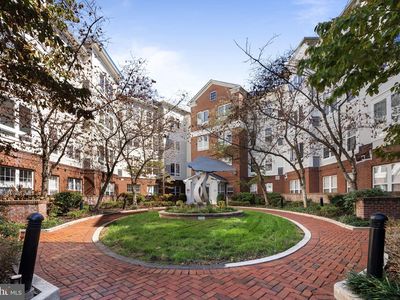 801 S Greenbrier St APT 304, Arlington, VA, 22204
