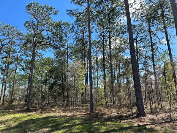 SE 73rd Ln Lot 84, Morriston, FL 32668