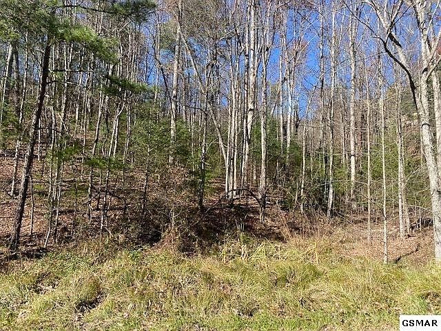 1st image of 111 Sourwood Honey Dr Lot 111